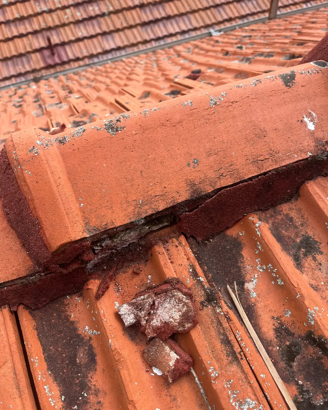 Shaw and Co Roofing project in Perth