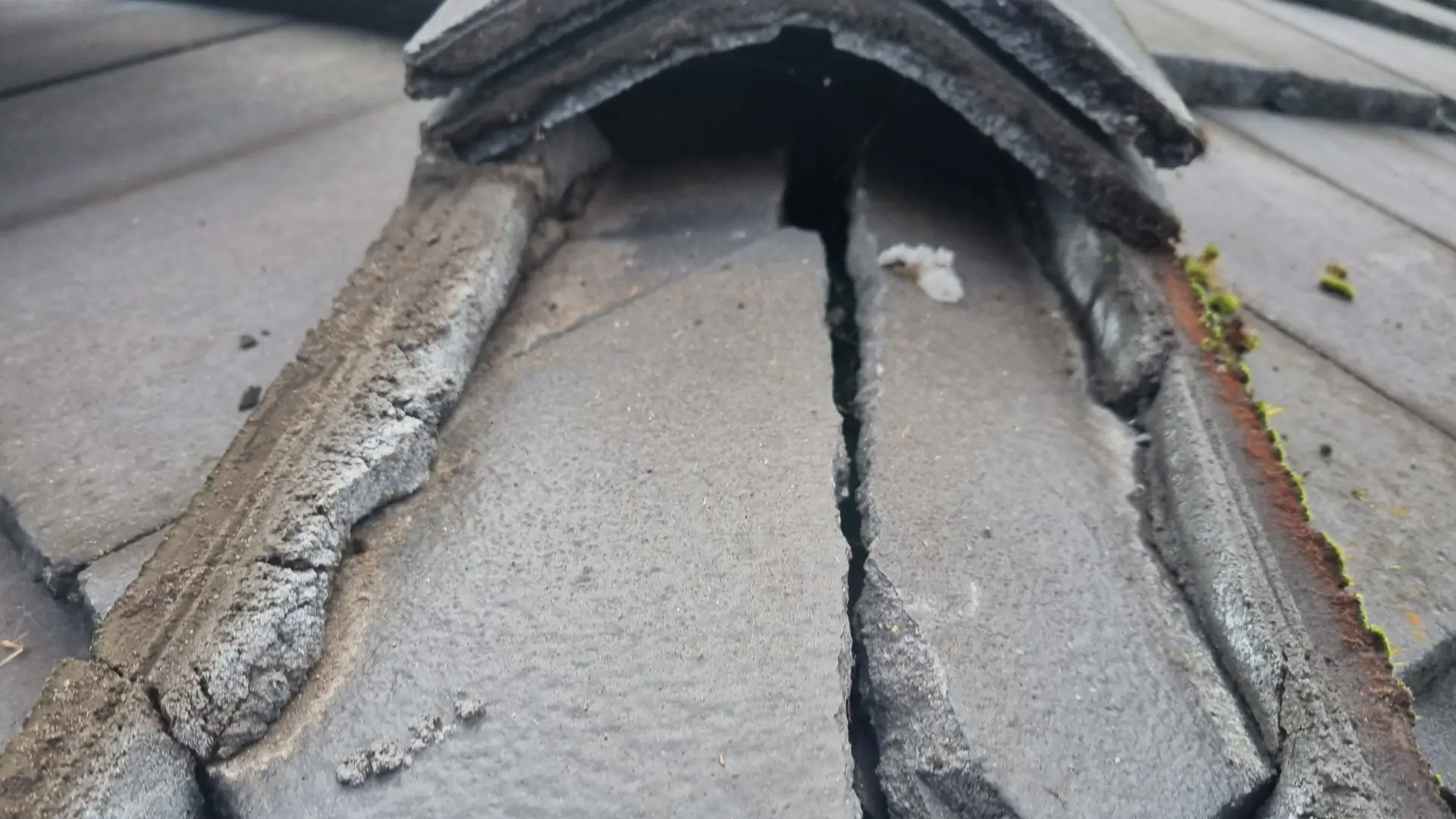 Shaw and Co Roofing project in Perth