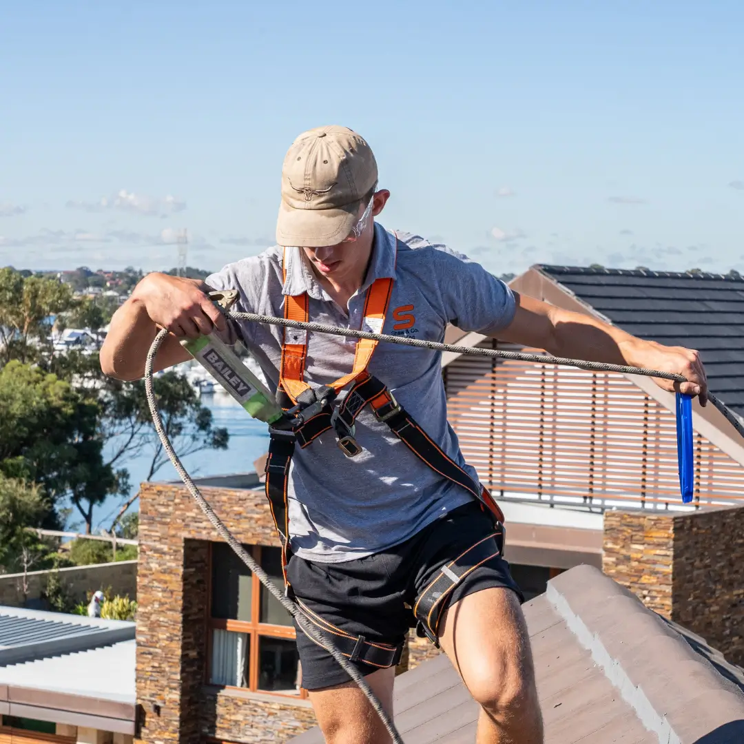 Colorbond roofing